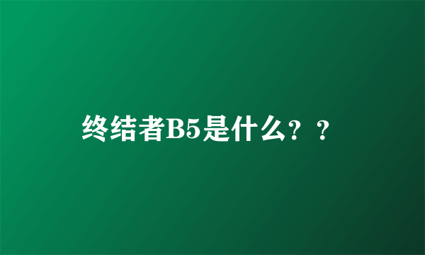 终结者B5是什么？？