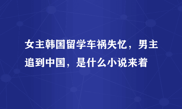 女主韩国留学车祸失忆，男主追到中国，是什么小说来着