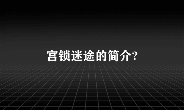 宫锁迷途的简介?