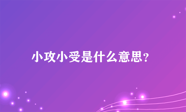 小攻小受是什么意思？