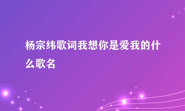 杨宗纬歌词我想你是爱我的什么歌名