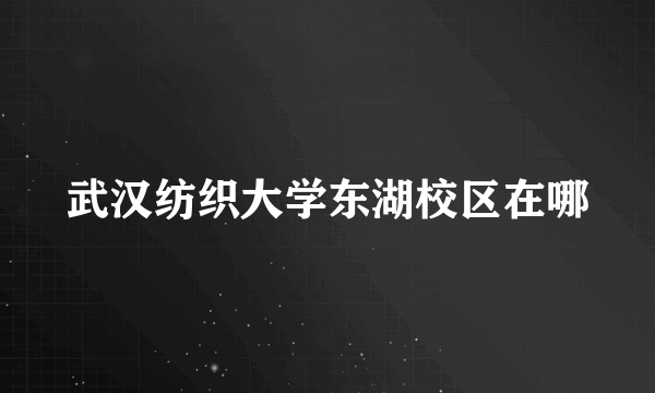 武汉纺织大学东湖校区在哪