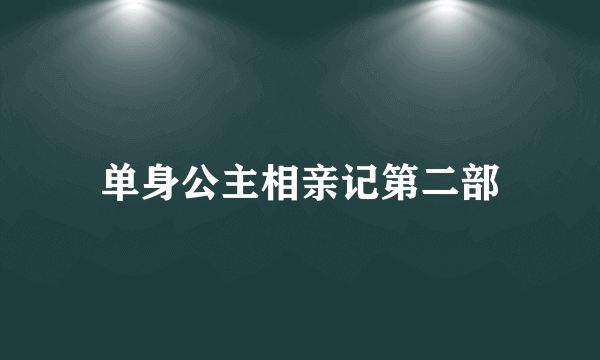 单身公主相亲记第二部