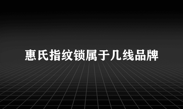 惠氏指纹锁属于几线品牌