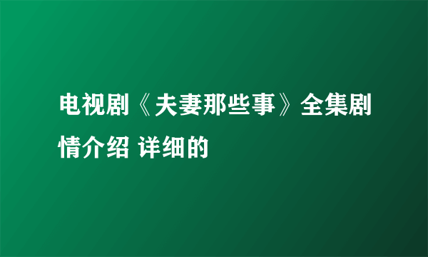 电视剧《夫妻那些事》全集剧情介绍 详细的