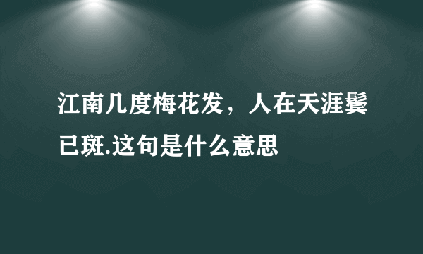 江南几度梅花发，人在天涯鬓已斑.这句是什么意思