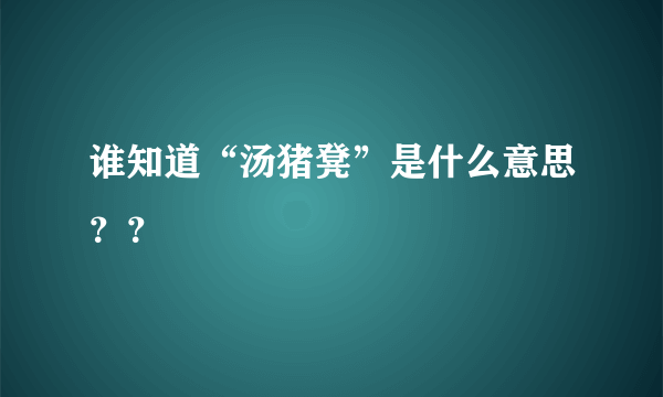 谁知道“汤猪凳”是什么意思？？