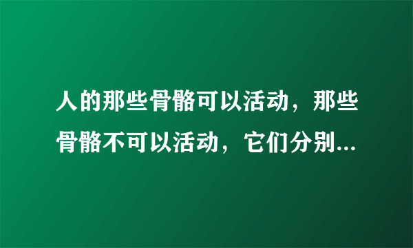 人的那些骨骼可以活动，那些骨骼不可以活动，它们分别起什么作用