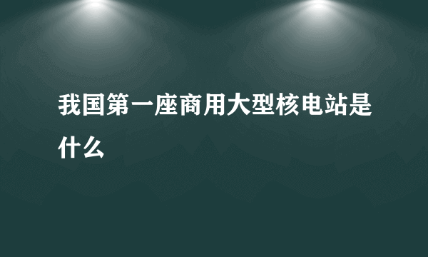 我国第一座商用大型核电站是什么