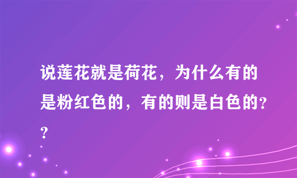 说莲花就是荷花，为什么有的是粉红色的，有的则是白色的？？