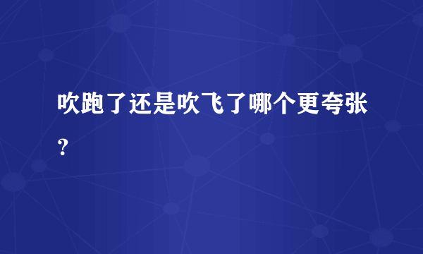 吹跑了还是吹飞了哪个更夸张？