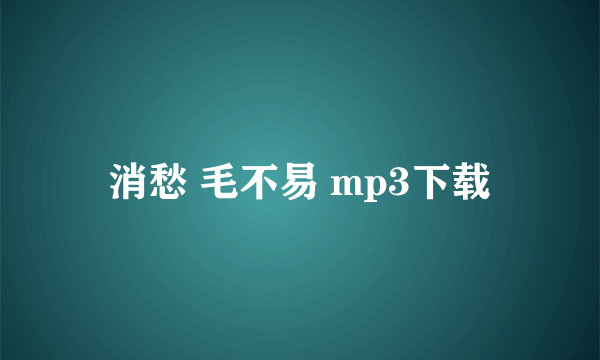 消愁 毛不易 mp3下载