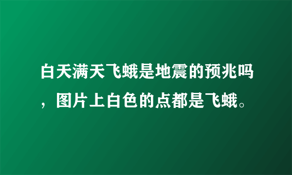 白天满天飞蛾是地震的预兆吗，图片上白色的点都是飞蛾。