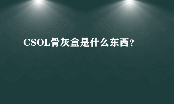 CSOL骨灰盒是什么东西？