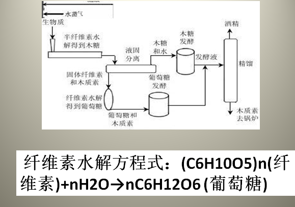 纤维素水解的产物是什么？