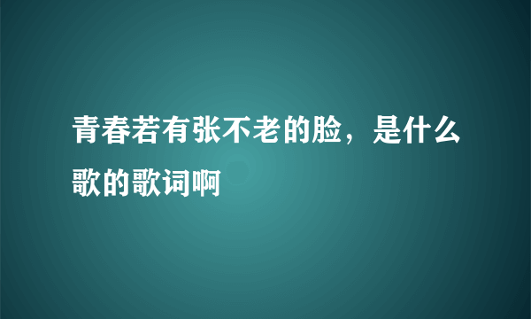 青春若有张不老的脸，是什么歌的歌词啊