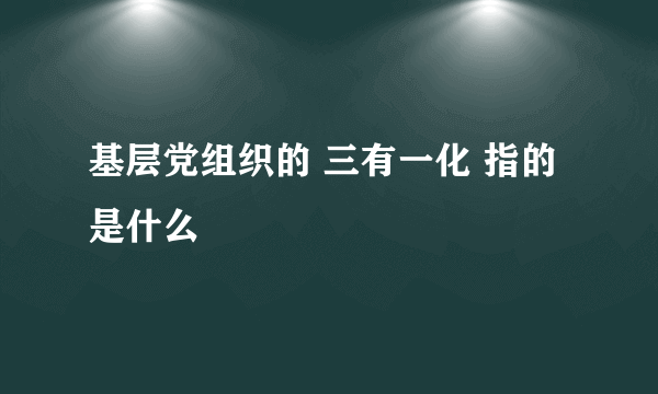 基层党组织的 三有一化 指的是什么