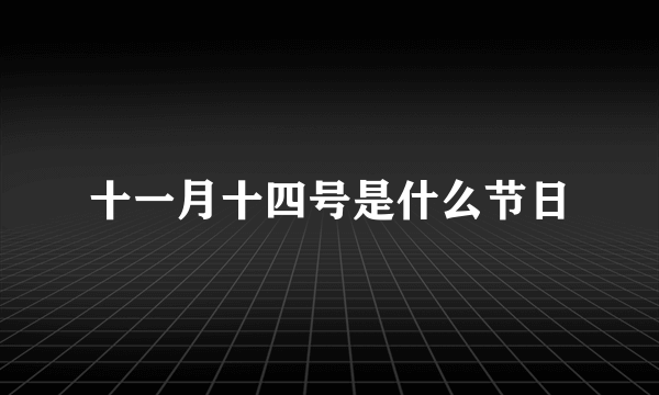 十一月十四号是什么节日