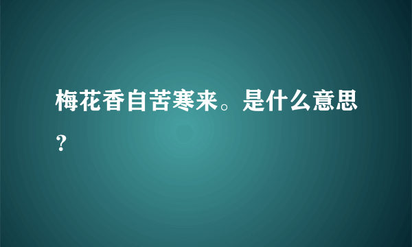 梅花香自苦寒来。是什么意思？