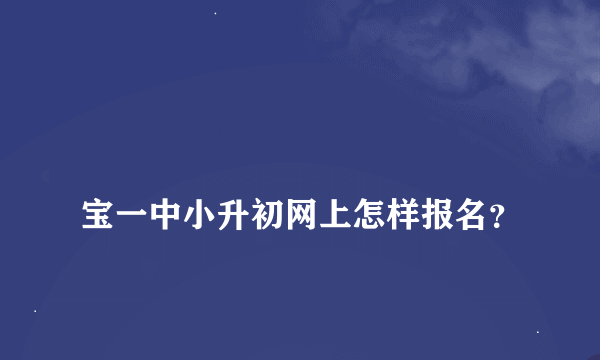 
宝一中小升初网上怎样报名？
