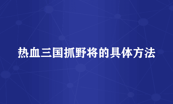 热血三国抓野将的具体方法