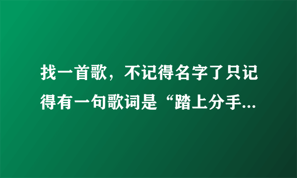 找一首歌，不记得名字了只记得有一句歌词是“踏上分手这条路”