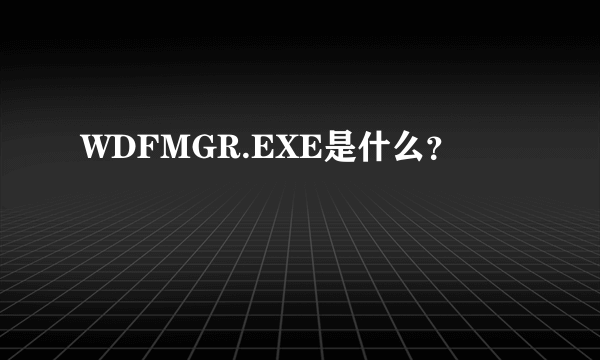 WDFMGR.EXE是什么？