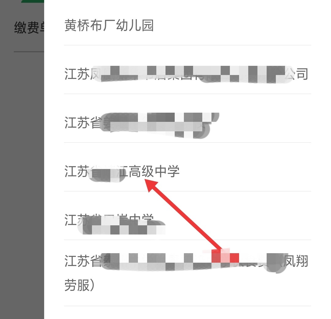 建设银行网上怎么交学费？急急急