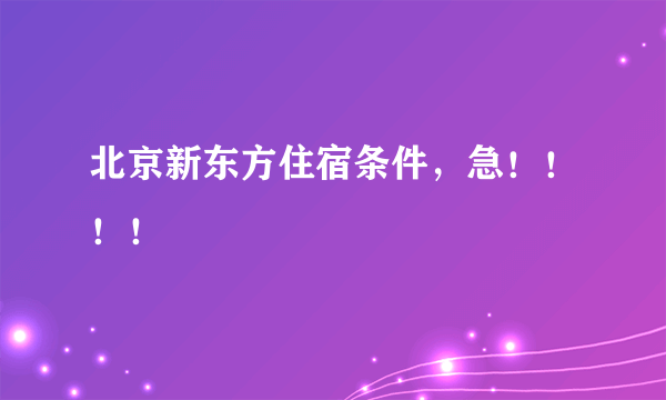 北京新东方住宿条件，急！！！！