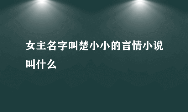 女主名字叫楚小小的言情小说叫什么