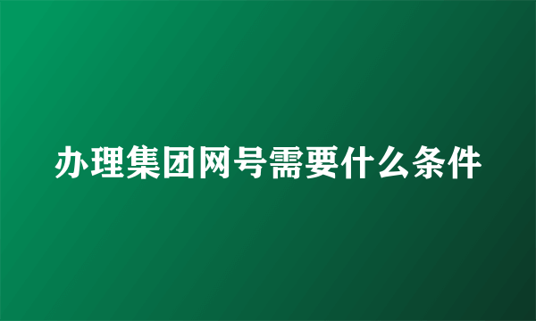 办理集团网号需要什么条件