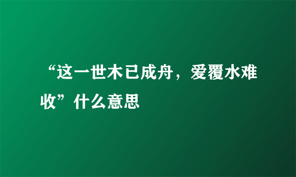 “这一世木已成舟，爱覆水难收”什么意思