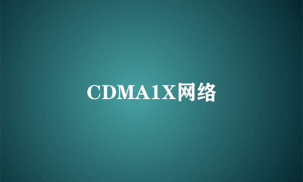 CDMA1X网络