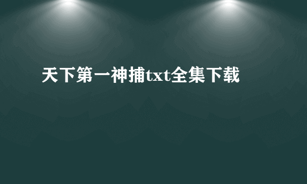 天下第一神捕txt全集下载