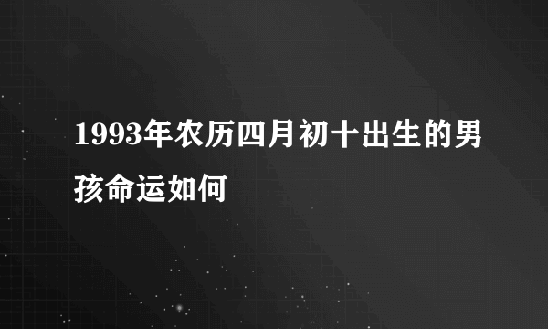 1993年农历四月初十出生的男孩命运如何