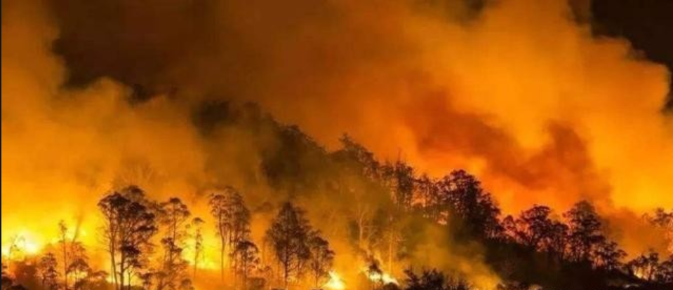 澳大利亚天灾不断：森林大火刚被扑灭，又面临洪水威胁，为何多极端天气？