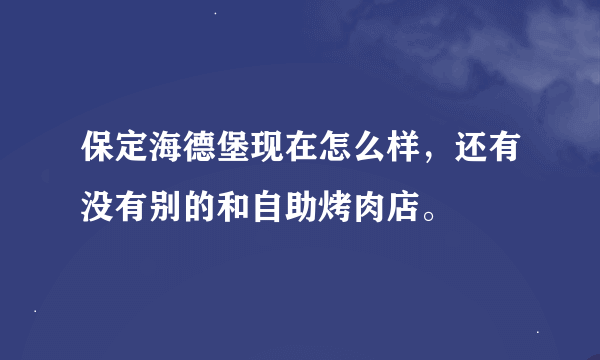 保定海德堡现在怎么样，还有没有别的和自助烤肉店。