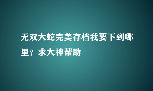 无双大蛇完美存档我要下到哪里？求大神帮助