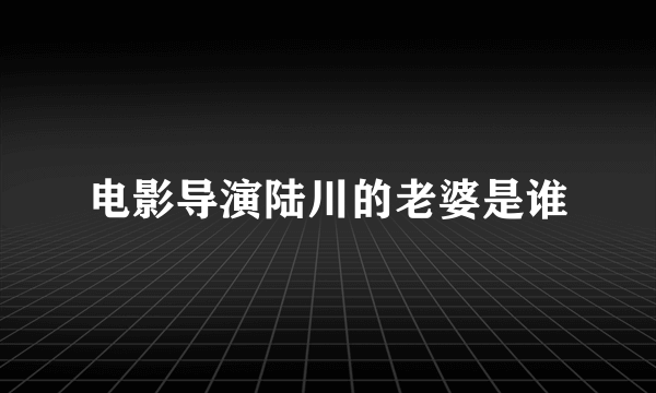 电影导演陆川的老婆是谁