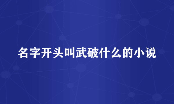 名字开头叫武破什么的小说