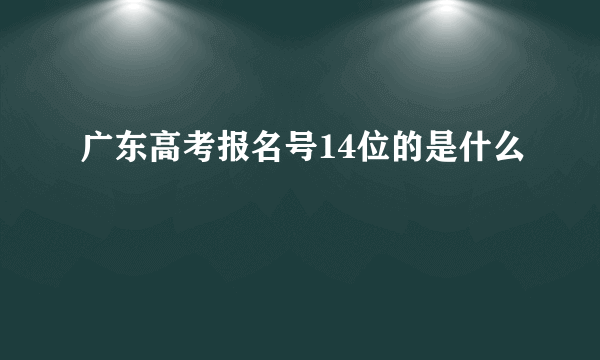 广东高考报名号14位的是什么