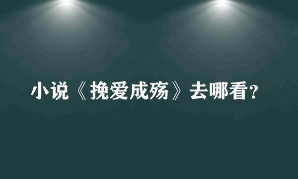 小说《挽爱成殇》去哪看？