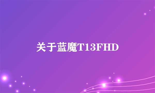 关于蓝魔T13FHD