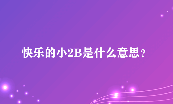 快乐的小2B是什么意思？