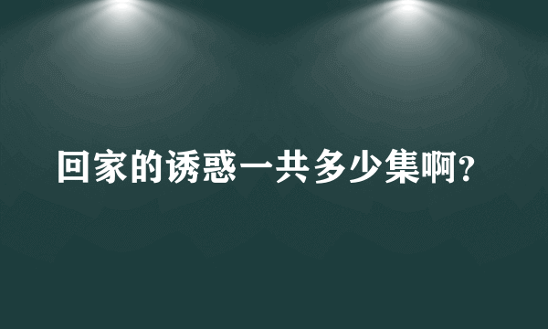 回家的诱惑一共多少集啊？