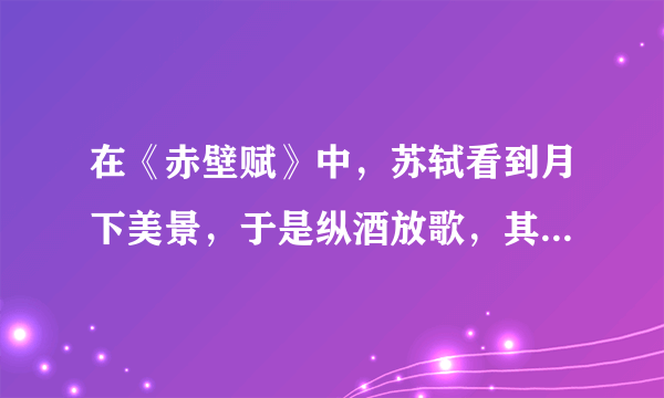 在《赤壁赋》中，苏轼看到月下美景，于是纵酒放歌，其中写船桨之美和于月下划船的惬意的句子是哪句？