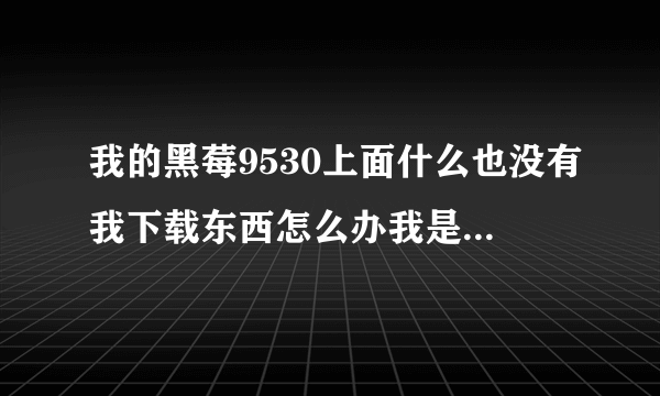 我的黑莓9530上面什么也没有我下载东西怎么办我是刚接触黑莓手机还不懂请问我应该下载什么软件