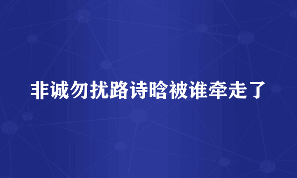 非诚勿扰路诗晗被谁牵走了