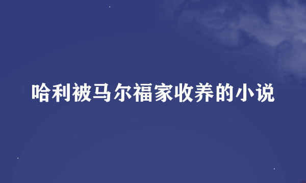 哈利被马尔福家收养的小说