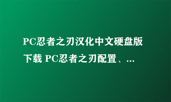 PC忍者之刃汉化中文硬盘版下载 PC忍者之刃配置、攻略、秘籍、pc及补丁